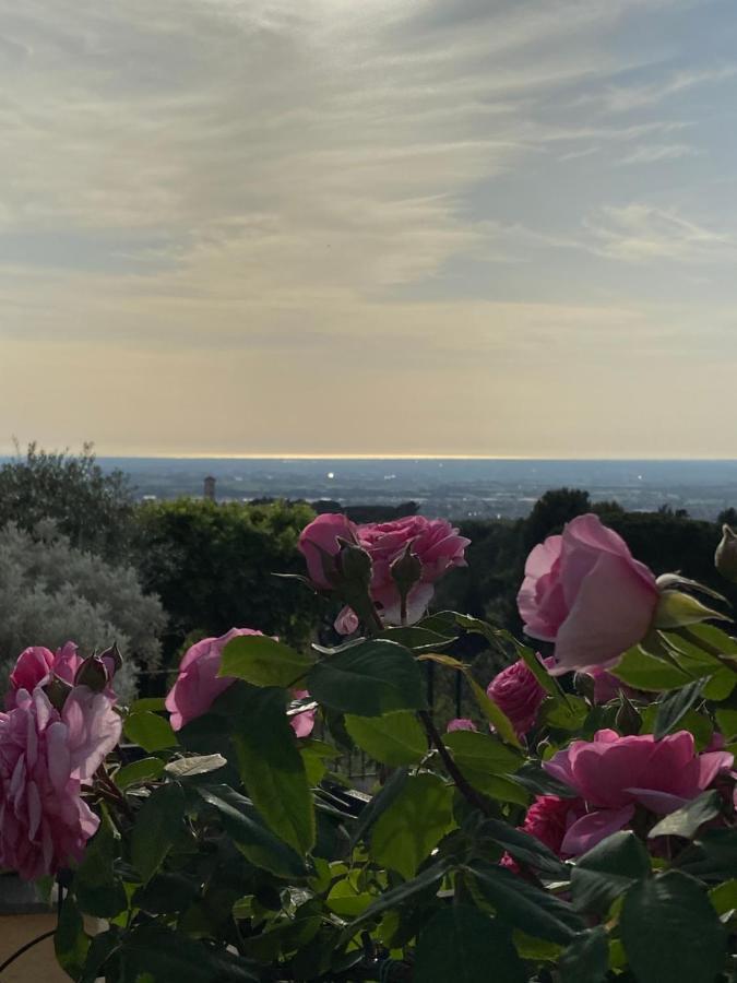 “Casa Amelie” Hotel Grottaferrata Eksteriør billede