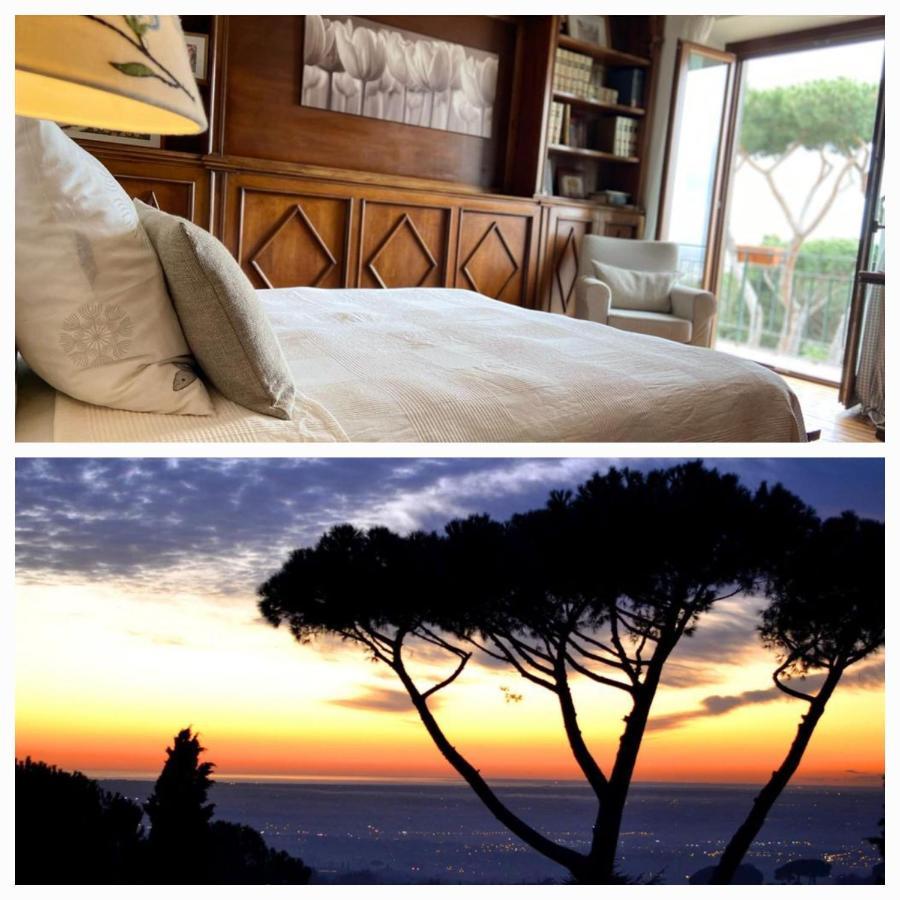 “Casa Amelie” Hotel Grottaferrata Eksteriør billede